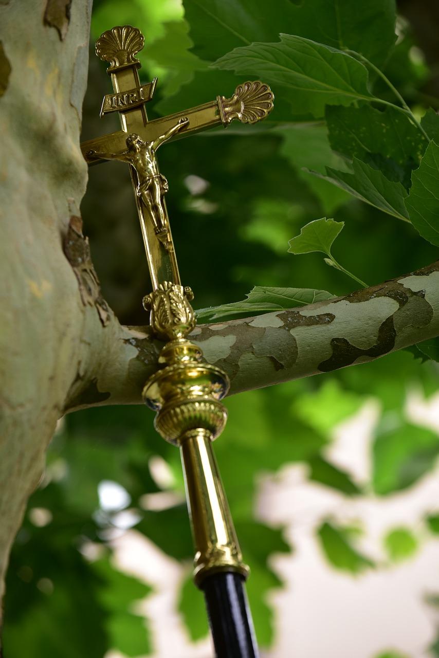 3. 性别中立设计