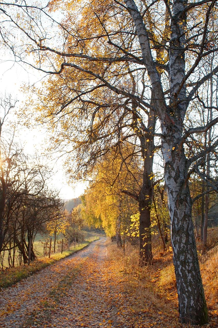 3. 繁华商圈周边