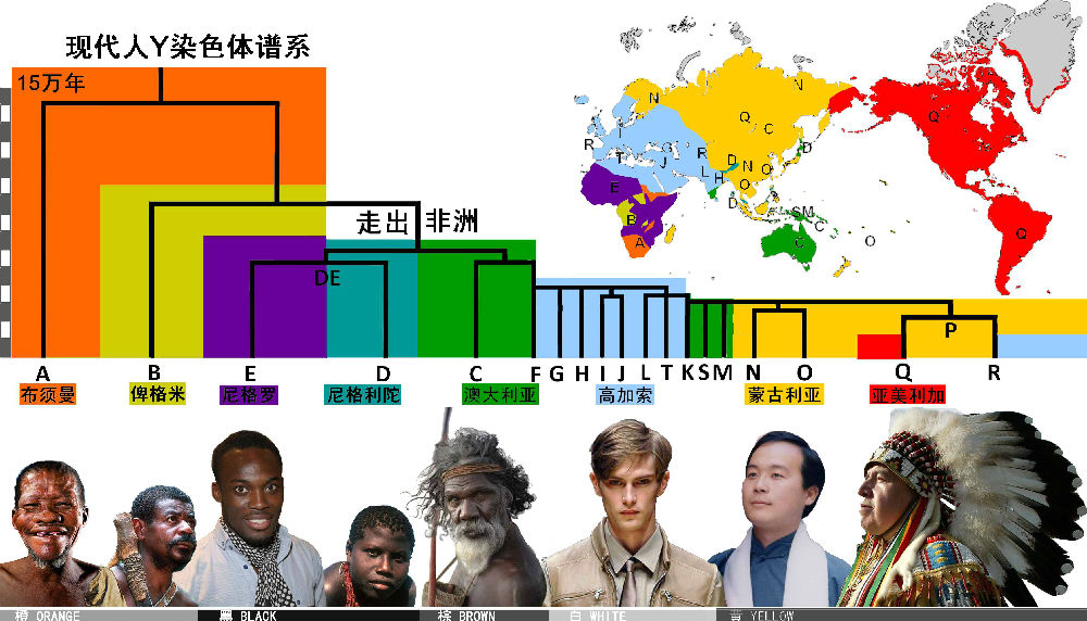 进化成适应内卷的生物会是什么样?