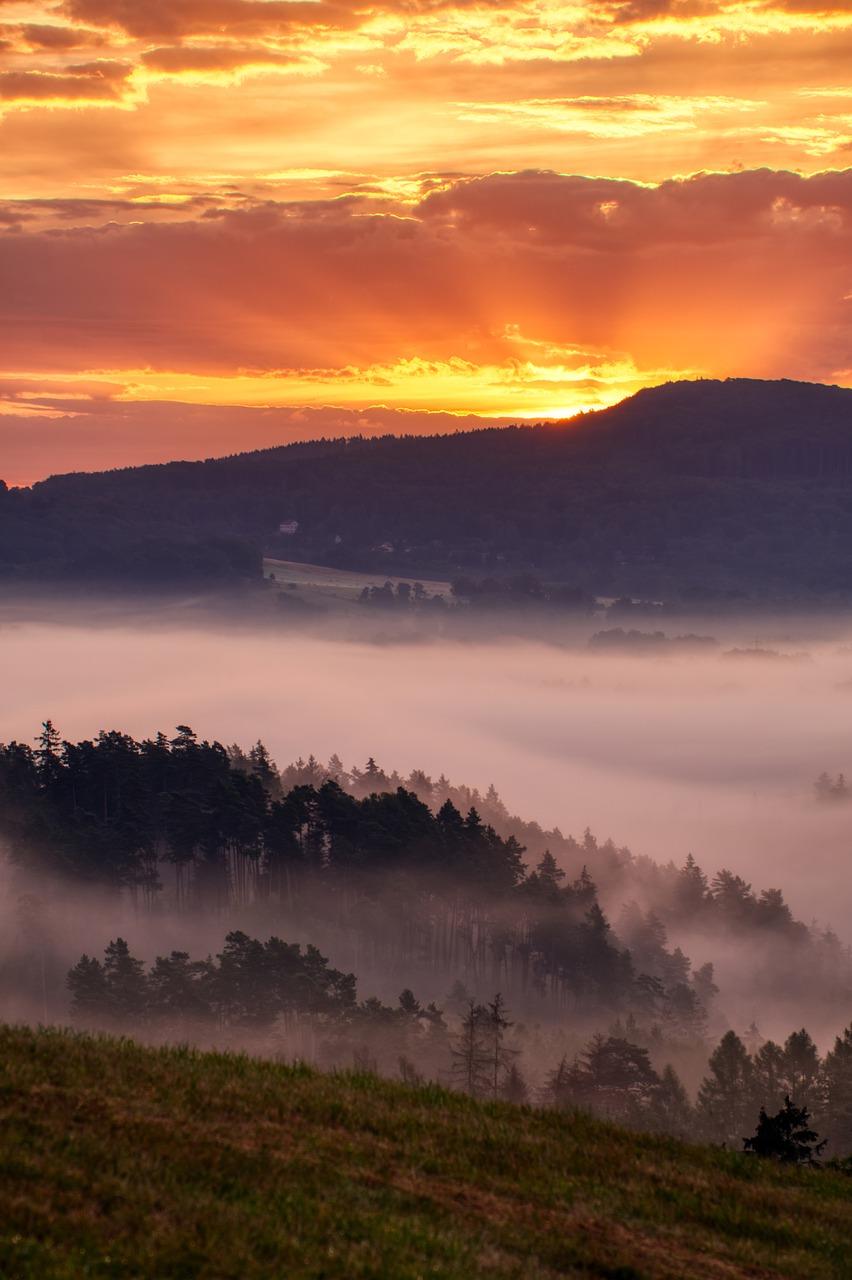 春意盎然窗前景