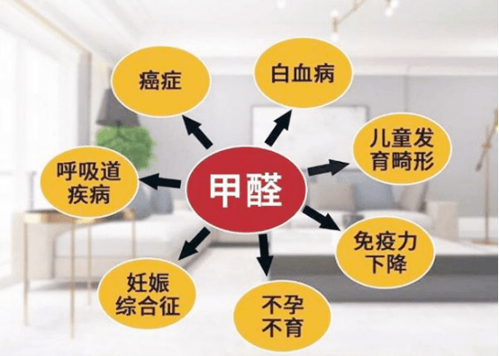 新装修房屋快速去除甲醛的方法有哪些。 - 知乎