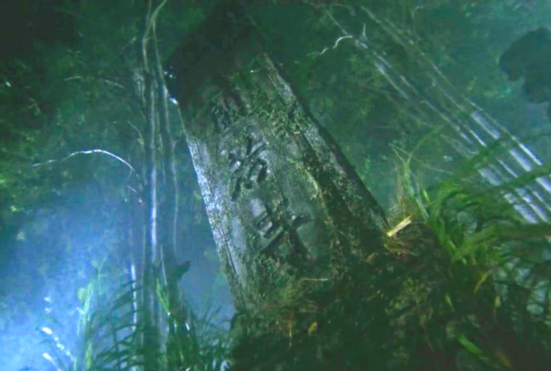 ������Ӱ�ӽ�ͼ