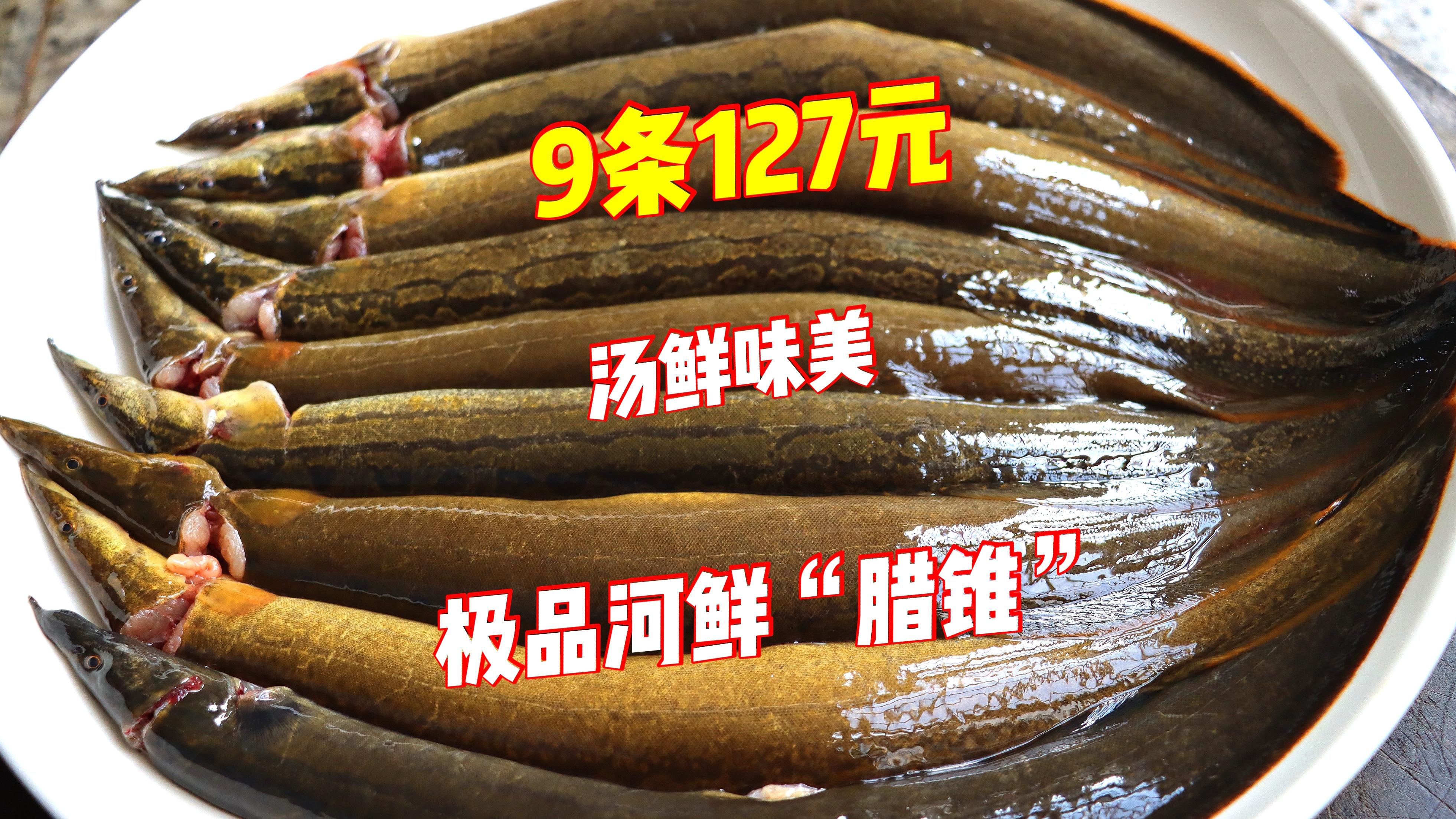 极品河鲜"腊锥鱼"!85元1斤可遇不可求,汤鲜味美也太补了 - 知乎