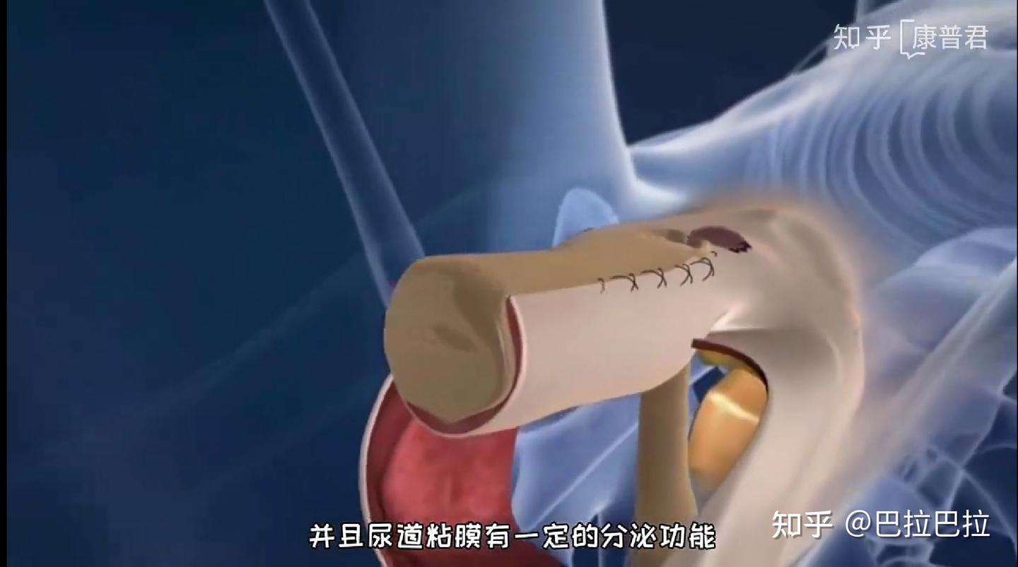 科普 - 知乎