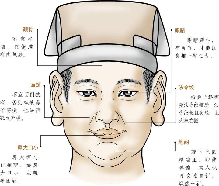 《麻衣神相》之鼻形论断 - 知乎