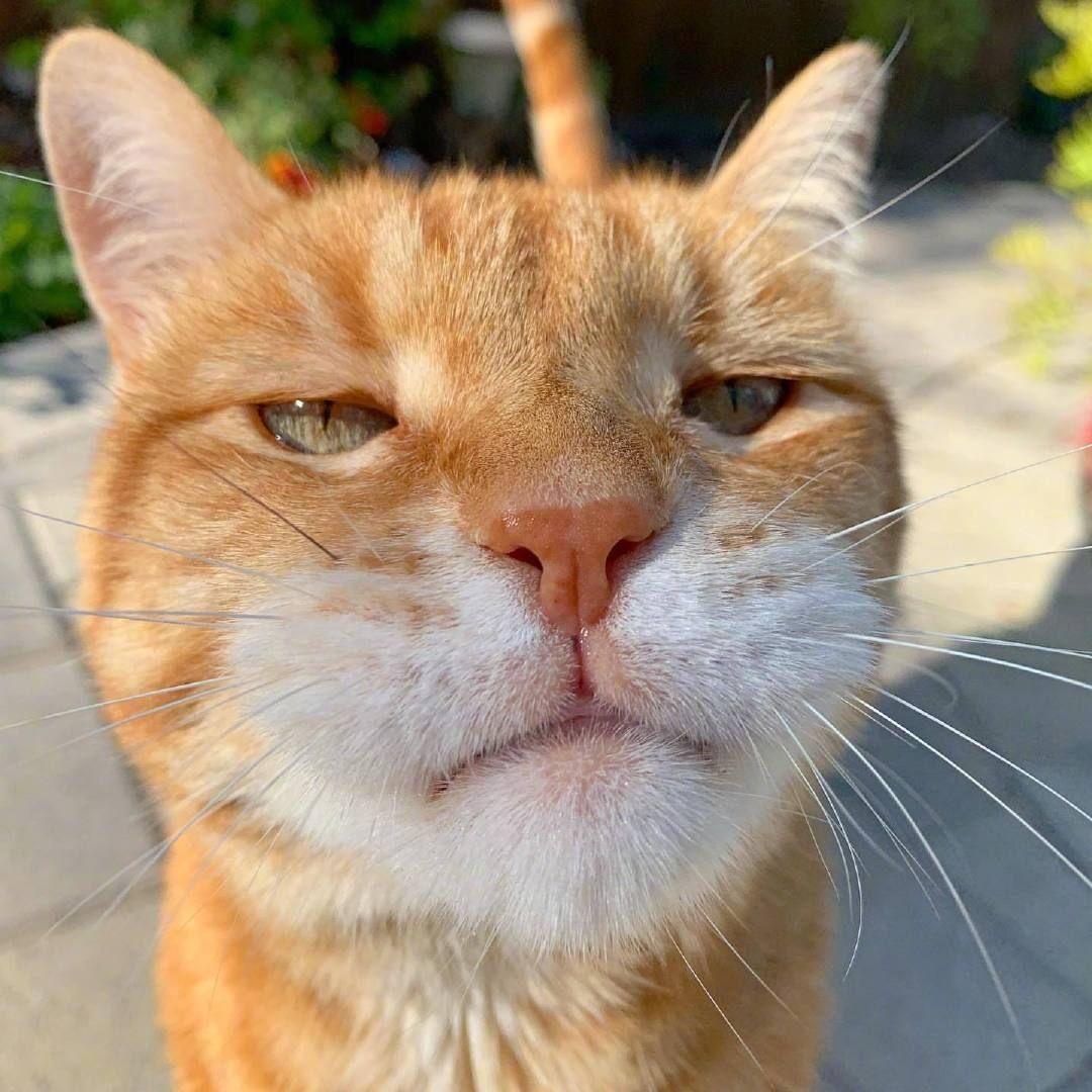 你有哪些神级图能做背景? - 知乎