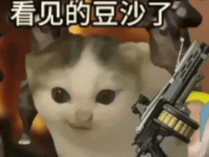 啊~~九九成～～稀罕物儿～～～50张稀有meme猫表情包 - 知乎