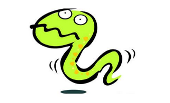 一种常见的小蛇火赤链蛇