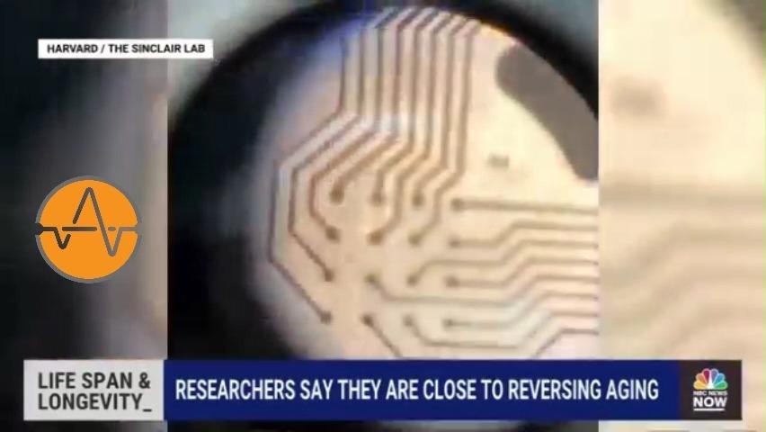 银行卡上标有CIRRUS和MAESTRO是什么意思 百度知道