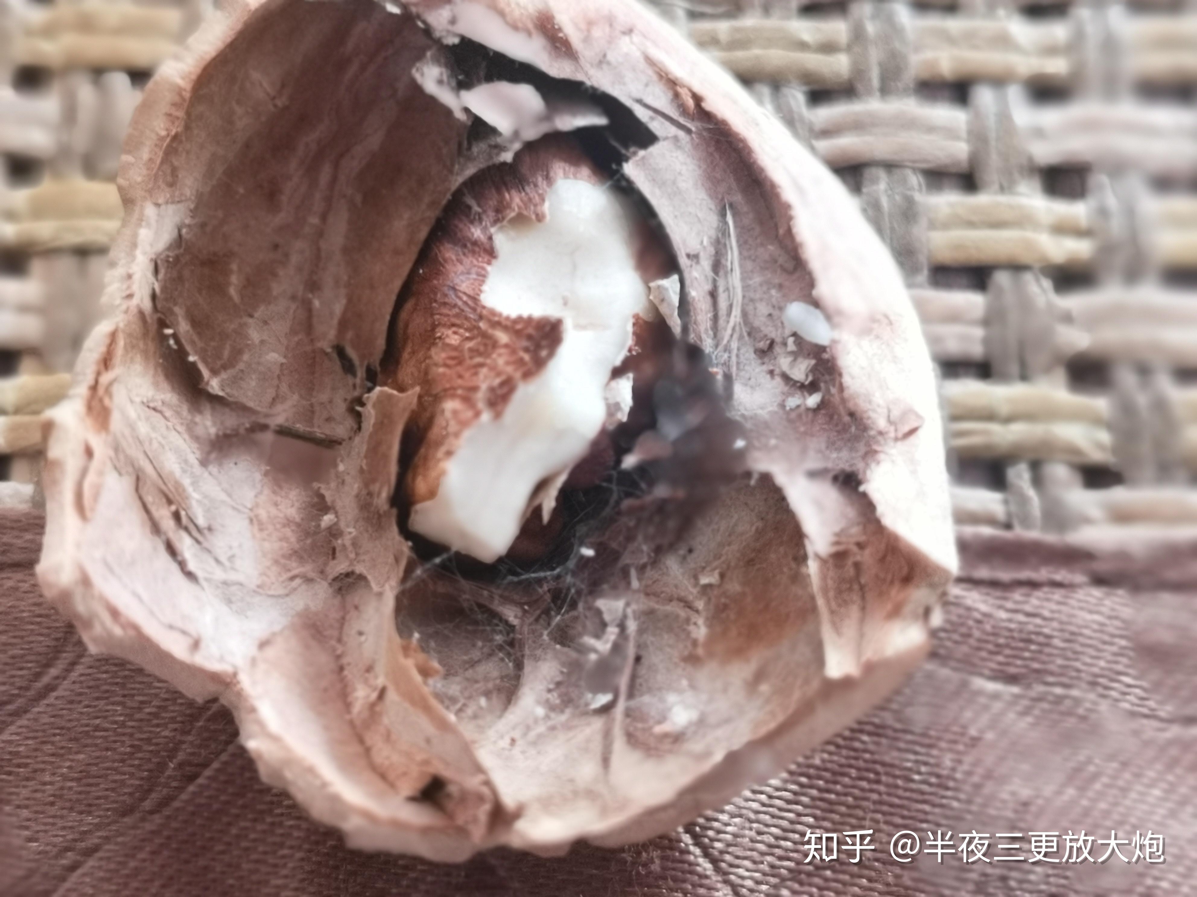 核桃里面这种白毛是什么?发霉了吗?能吃么? - 知乎