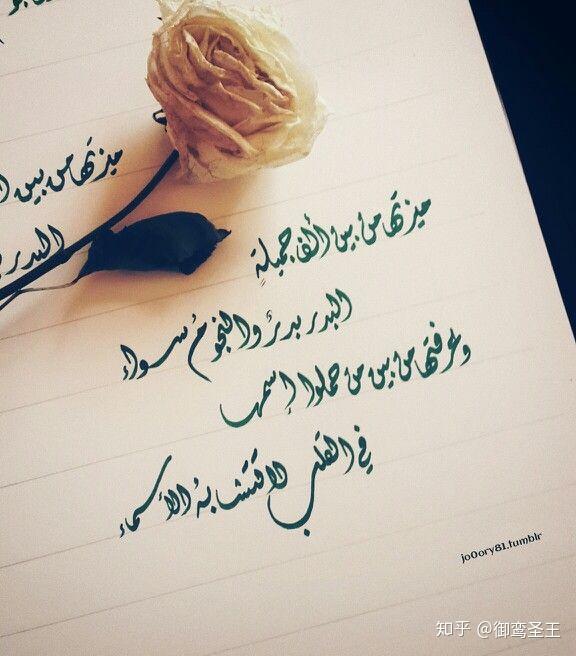 怎么学习阿拉伯语书法?