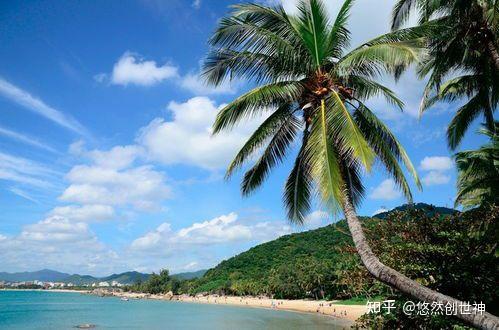 厦门2023年春节旅游的人多吗知乎的简单介绍
