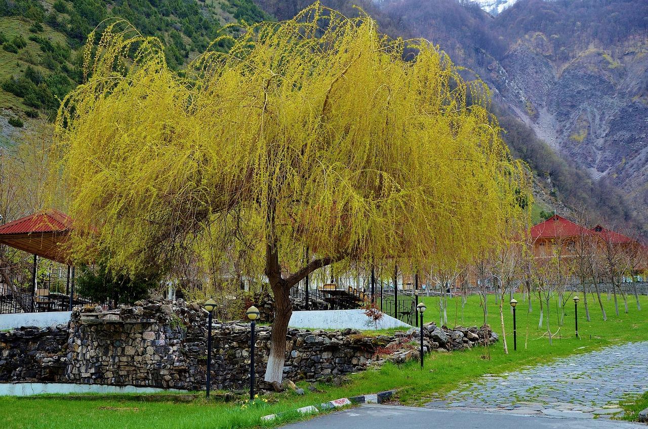 富强汽车钥匙怎么样