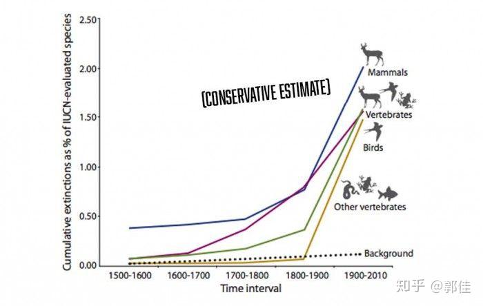 如果人类不再积极保护动物会有什么后果