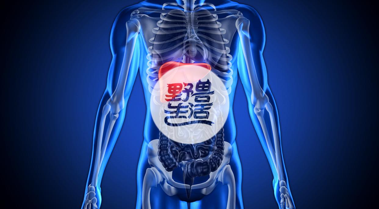 不抽烟 不喝酒 不爱吃肉 怎么就脂肪肝了 知乎