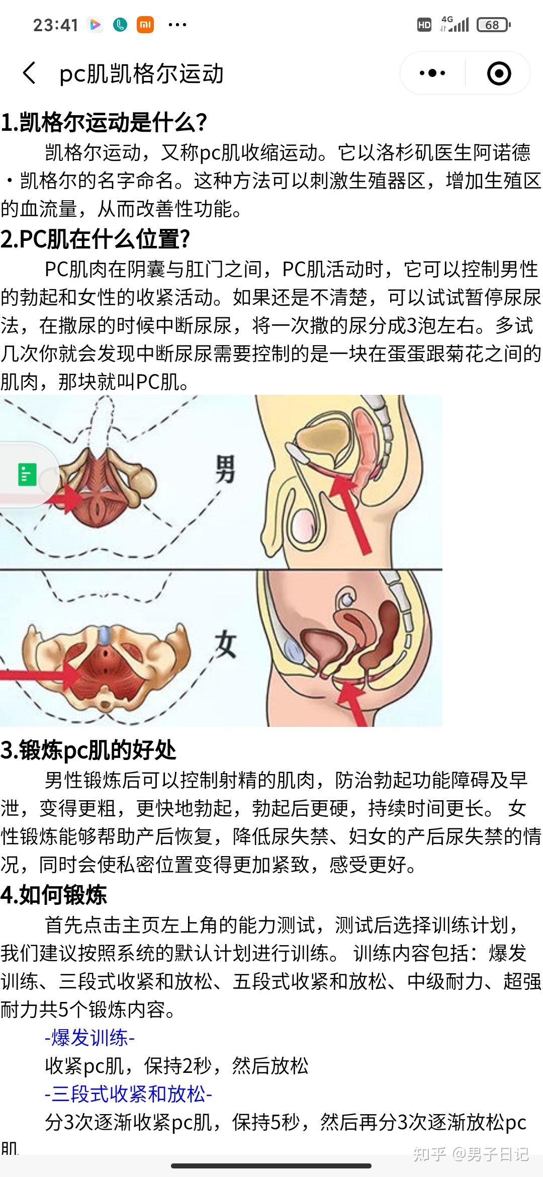 怎么做提肛?