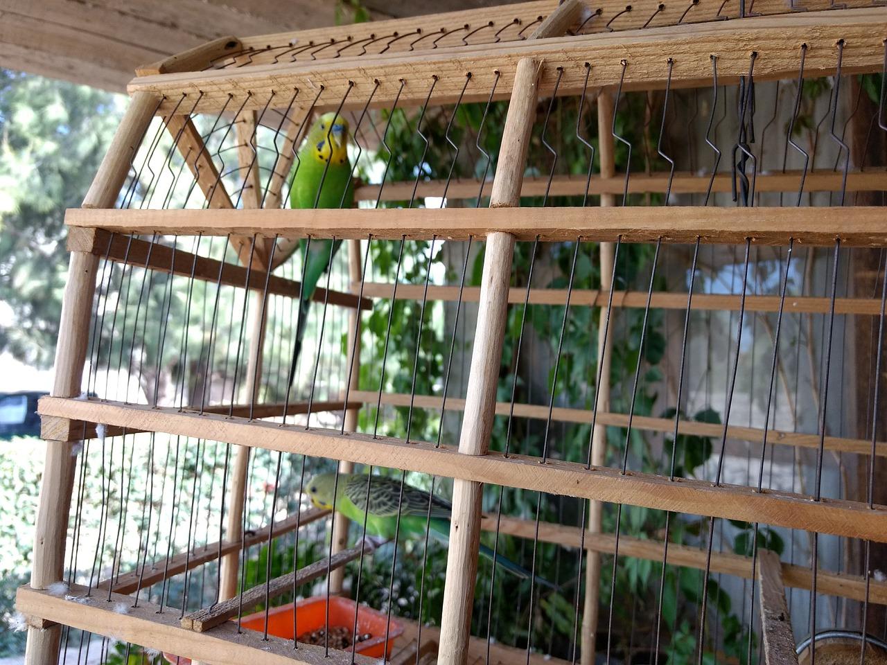 3. 土壤选择指南