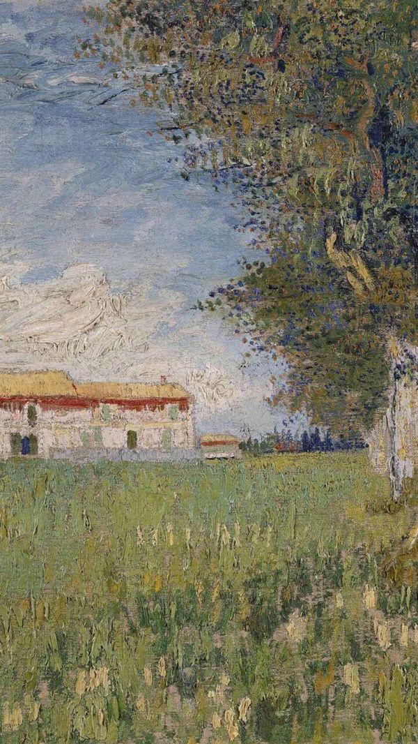 有哪些让你一眼万年的绿色系壁纸?(绿色壁纸大全图片清新自然)