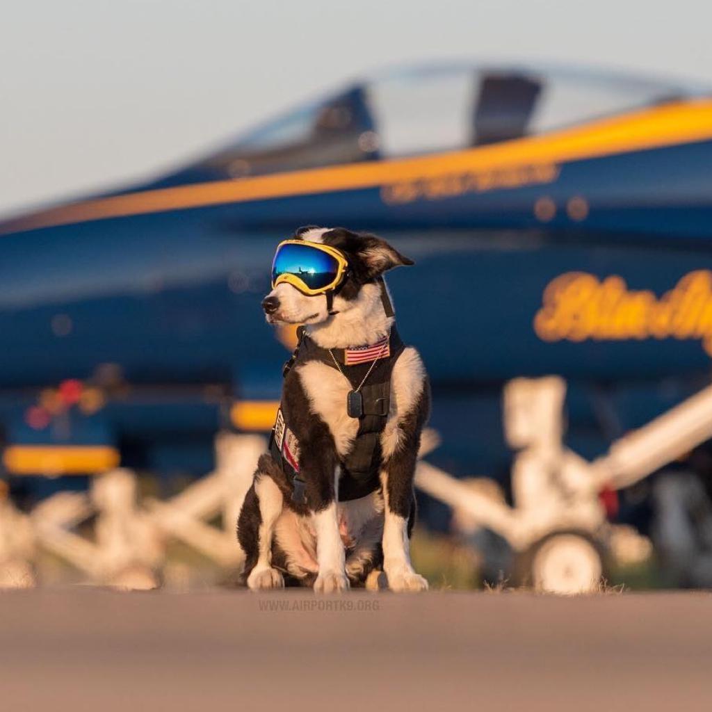 有没有什么惊艳的微信头像?-特别惊艳到人的微信头像