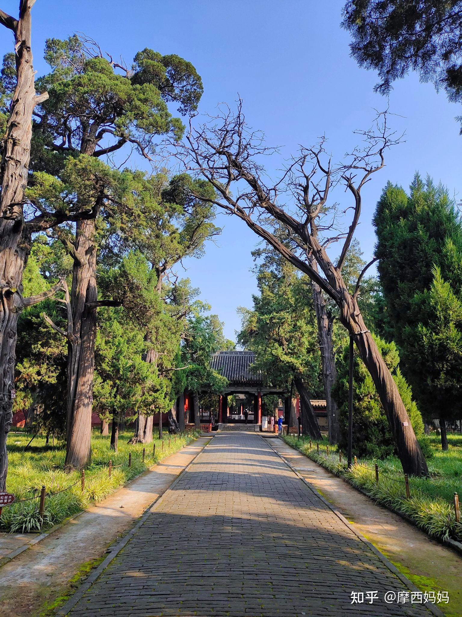 孟府孟庙景区怎么样?值得去吗? - 知乎