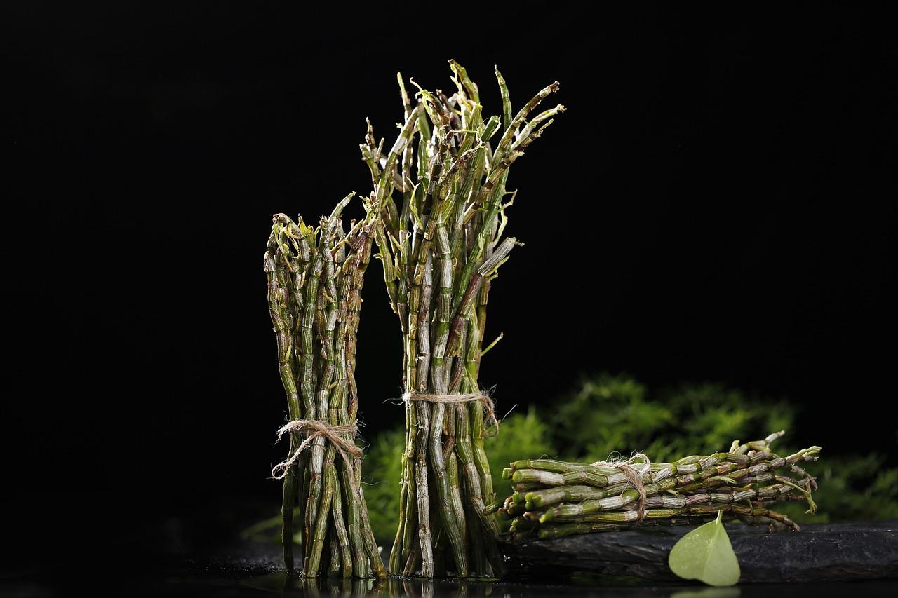 2. 石斛花期特点