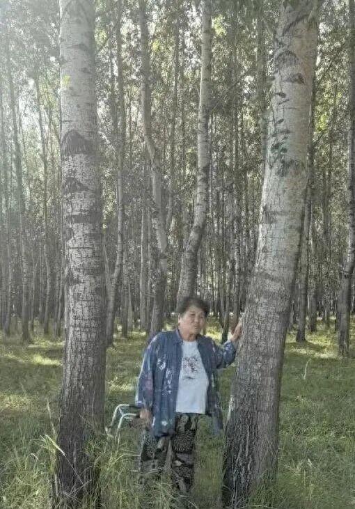农户23年前响应号召种下300亩杨树,准备砍伐时却被告知已纳入自然保护区,禁止砍伐!官方回应:不好意思了 - 知乎