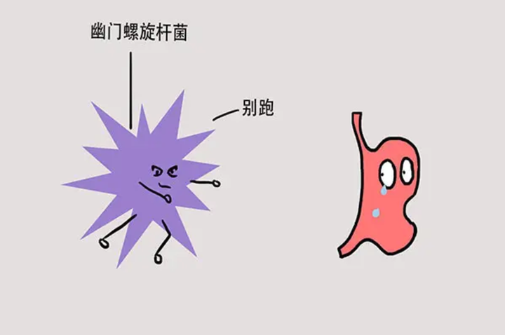 “可怕的幽门螺旋杆菌”——胃病的肇事者之一 - 知乎