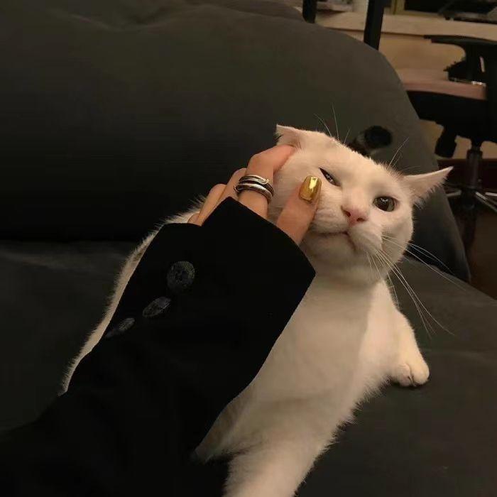 有没有小众又高格调的微信头像? - 知乎