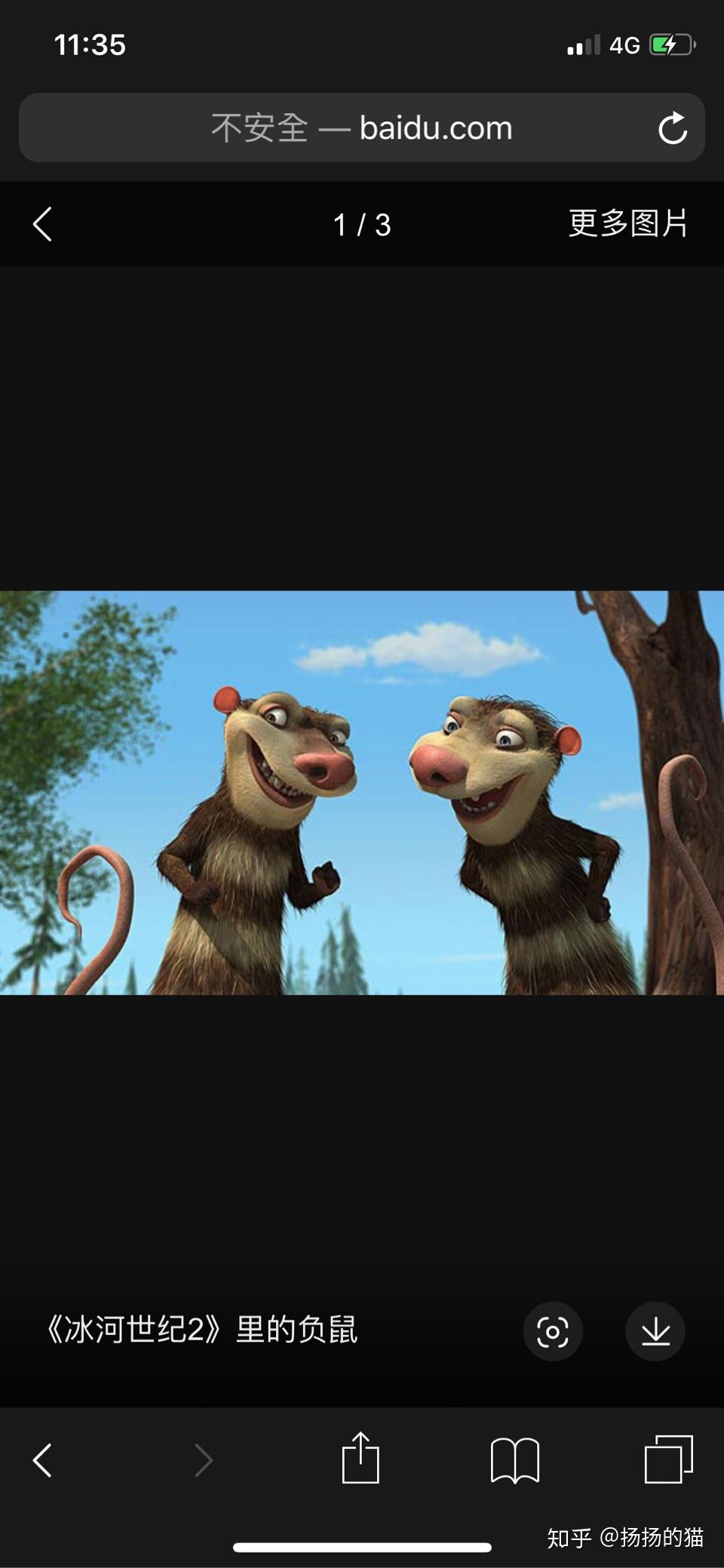 为什么有观点认为澳大利亚的动物都很傻? - 知乎