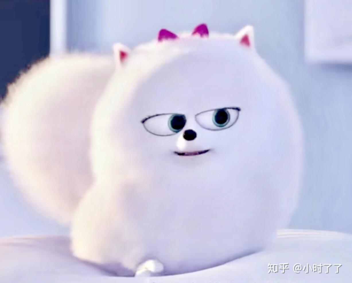 求《爱宠大机密》小白狗啾啾的头像? - 知乎