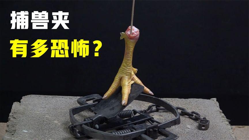 如何打开捕兽夹?