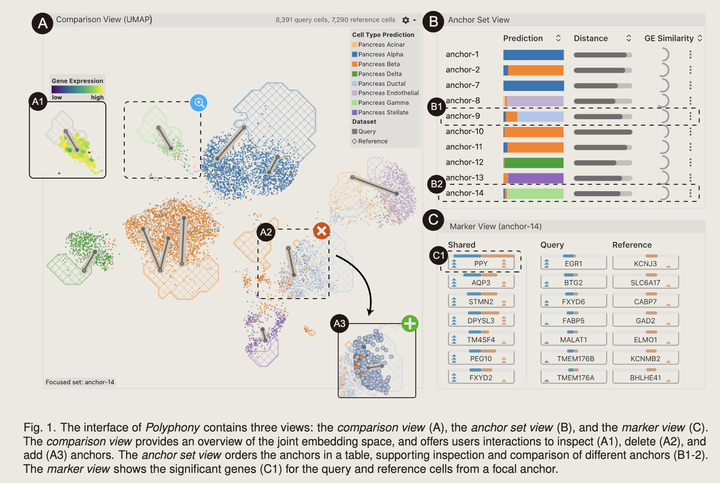 迁移学习阅读报告:Polyphony Transfer Learning Framework(TVCG2022) - 知乎