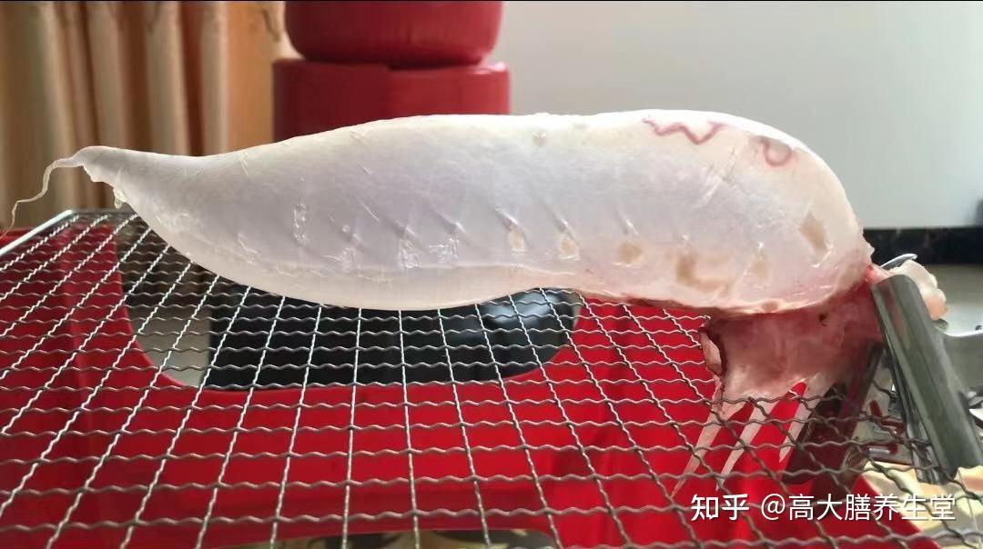 鱼胶制作全过程曝光!原来鱼胶是这样制作好的,这些你知不知道? - 知乎