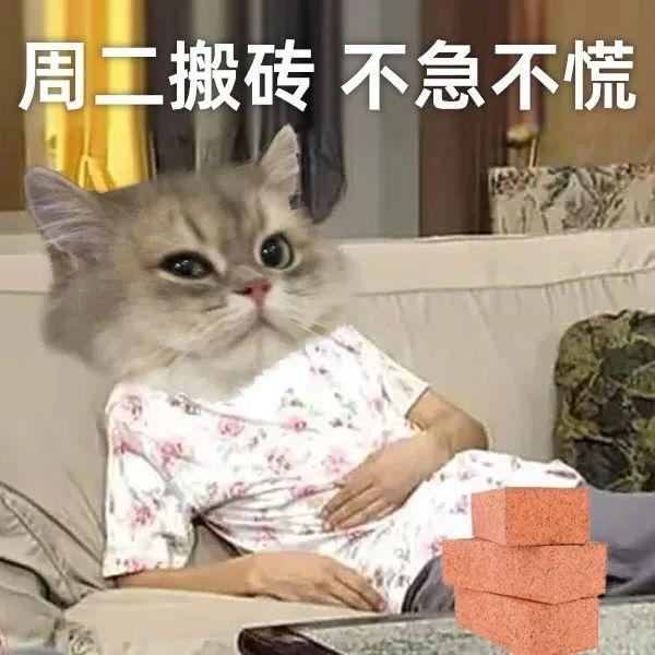 有没有什么魔性的gif表情包? - 知乎