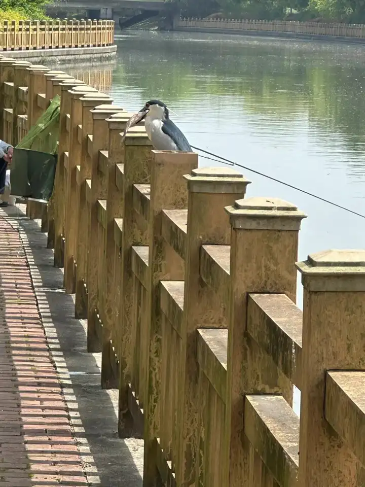 瞎扯 · 如何正确地吐槽