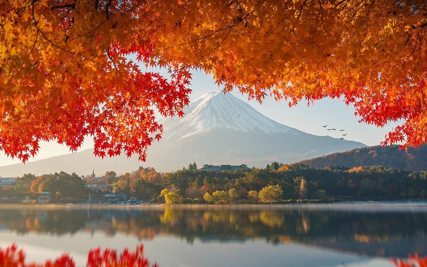一生只为富士山拍照的人 知乎