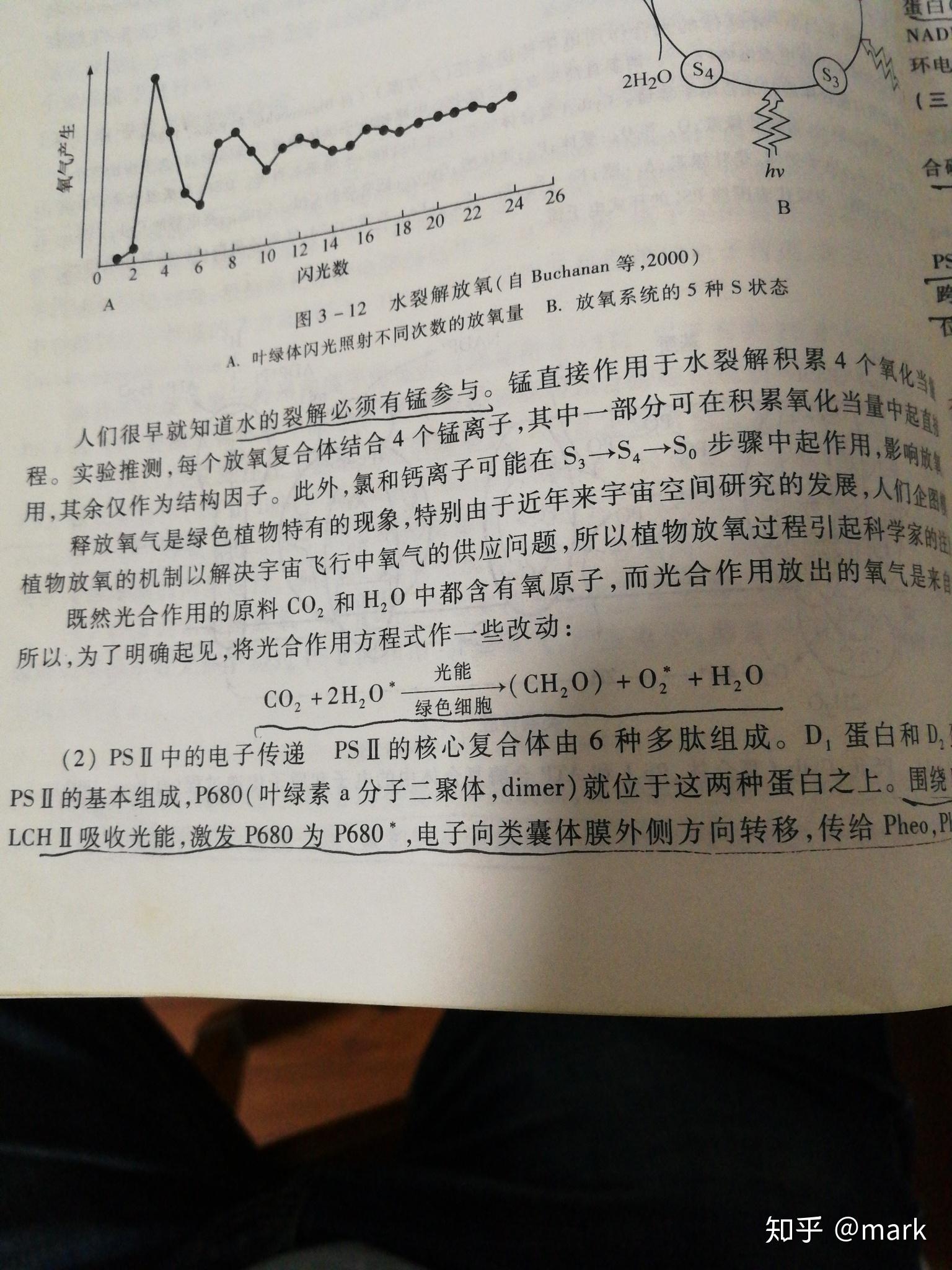 请问为什么光合作用暗反应产生水? - 知乎