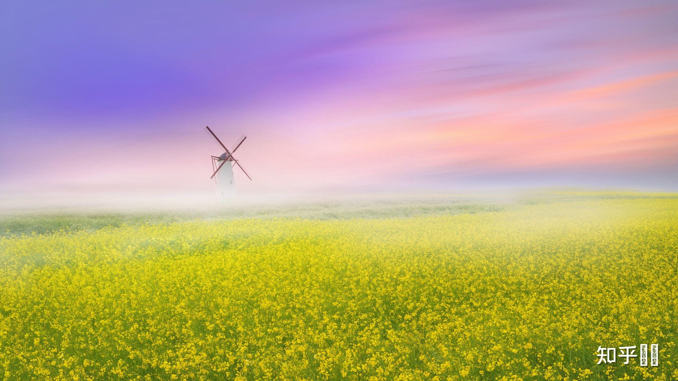 为什么2021年a股没有连续大暴跌