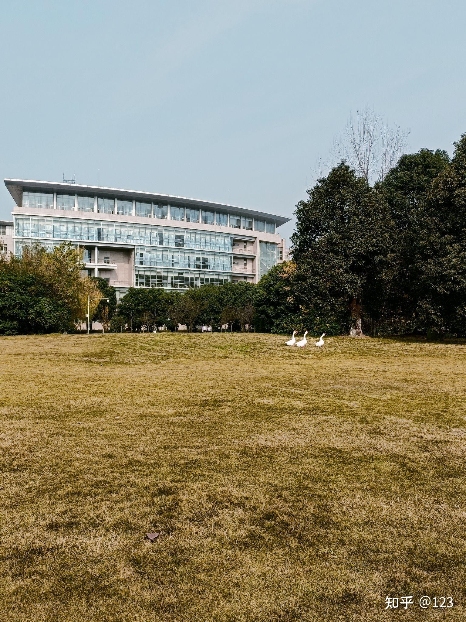 西南财经大学 风景图片