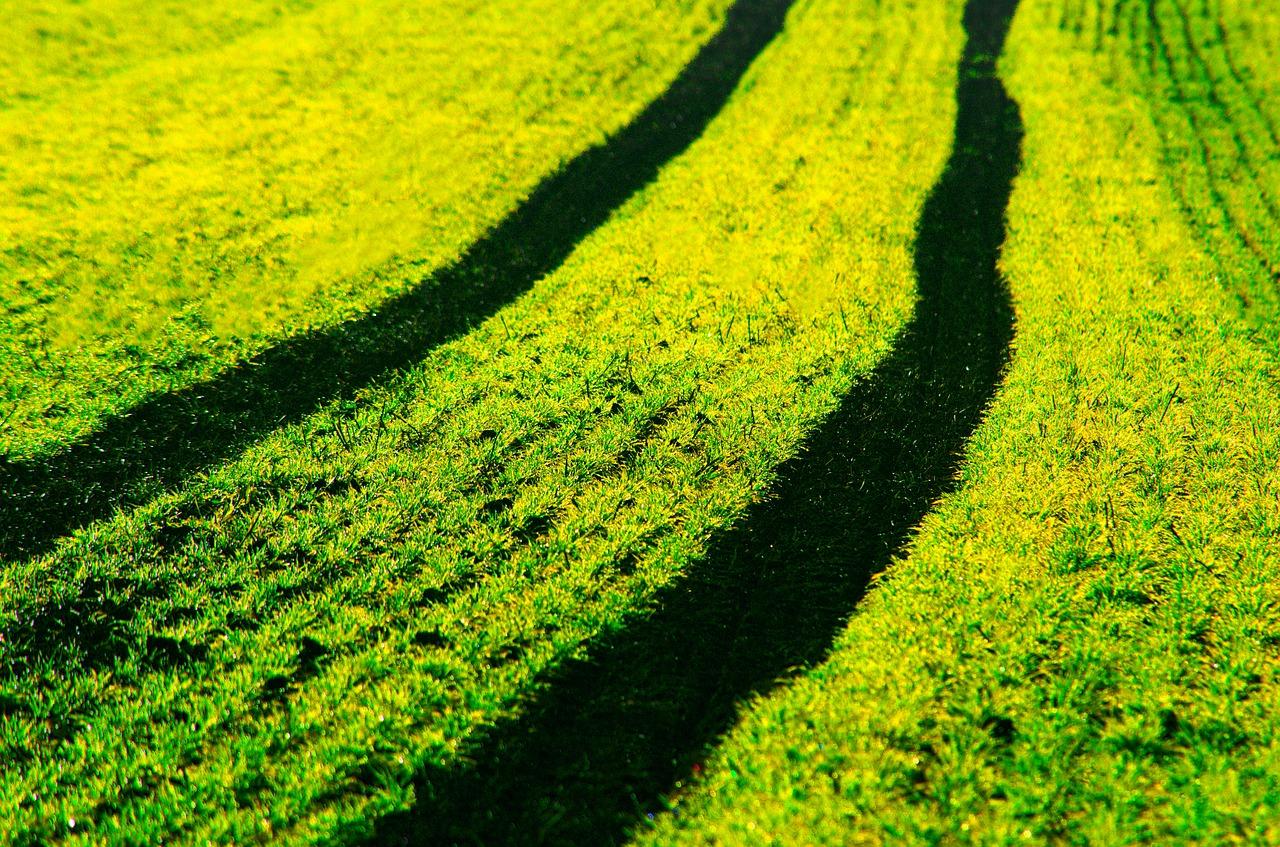 耕地占用补偿规定