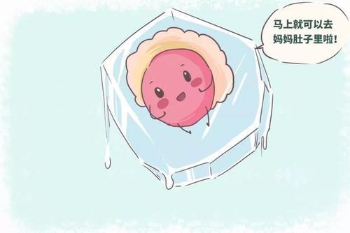 好运健康试管婴儿冻胚解冻后会降级吗