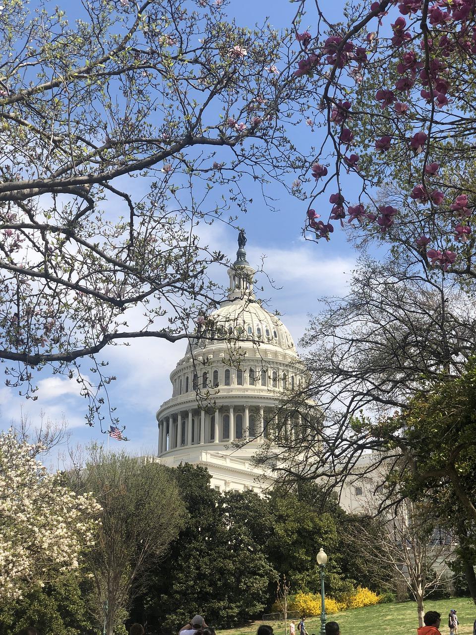 惠民巴黎春天多少钱