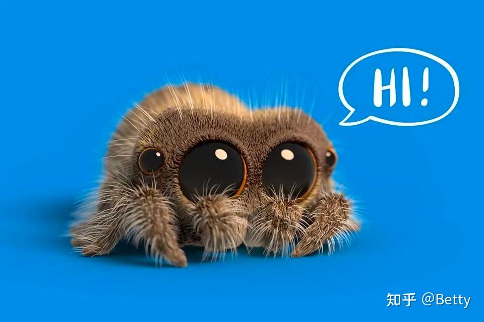 世界上最可爱的蜘蛛 Lucas the Spider 治愈系动画短片68集《小蜘蛛卢卡斯》简直萌翻天 - 知乎