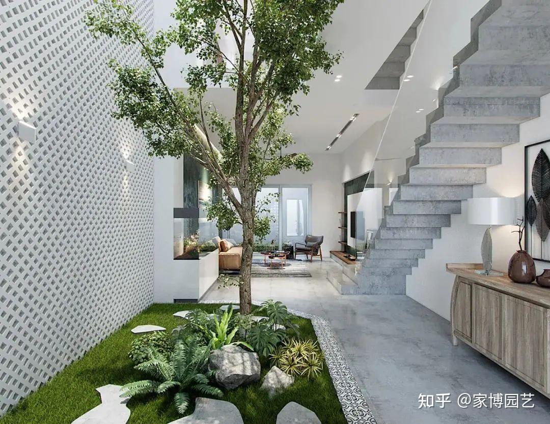 家博园艺｜在室内与自然相遇——关于室内空间造景 - 知乎