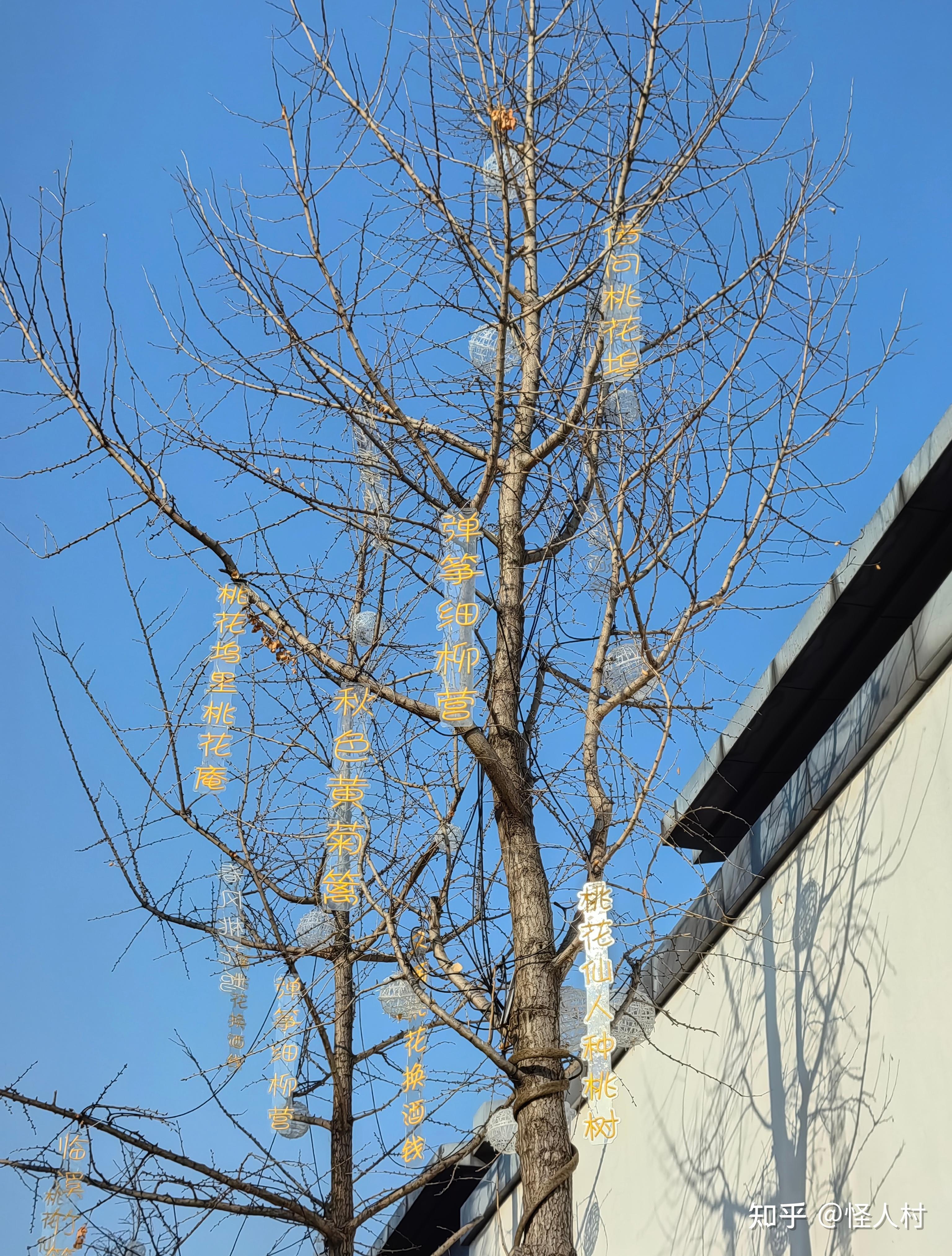 送礼还是古人讲究,聊聊中国的“贽见礼” - 知乎