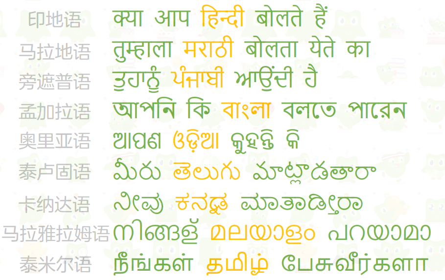 印度人在印度说什么语?