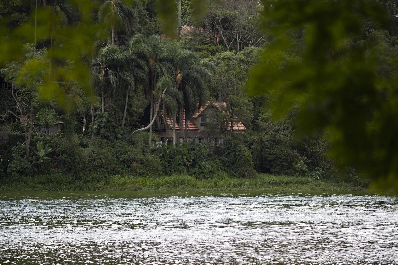 4. 价格优势分析