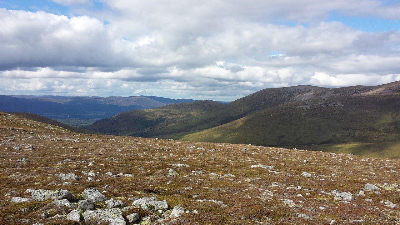 如何区分土地等级