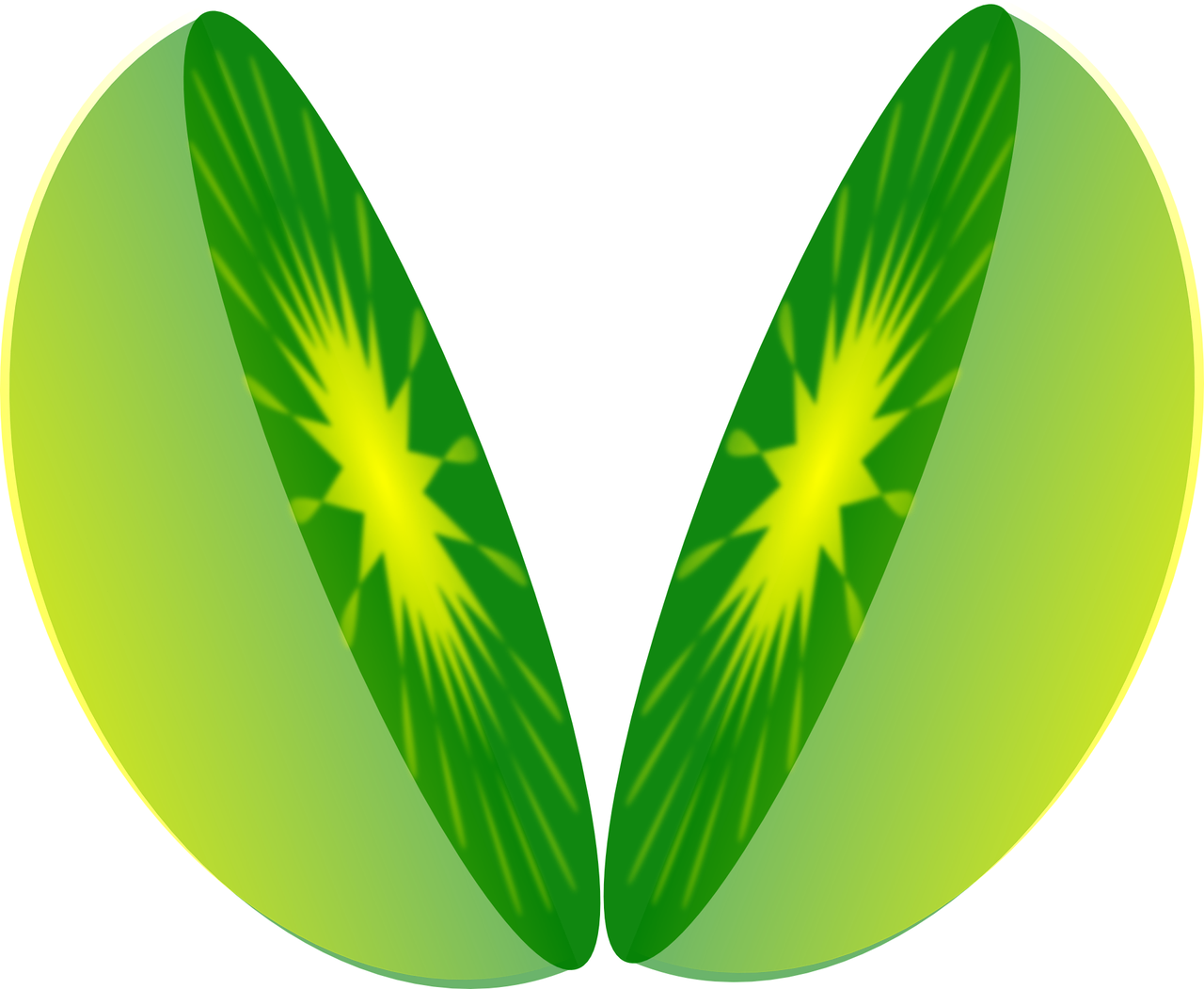 猕猴桃适合什么土壤