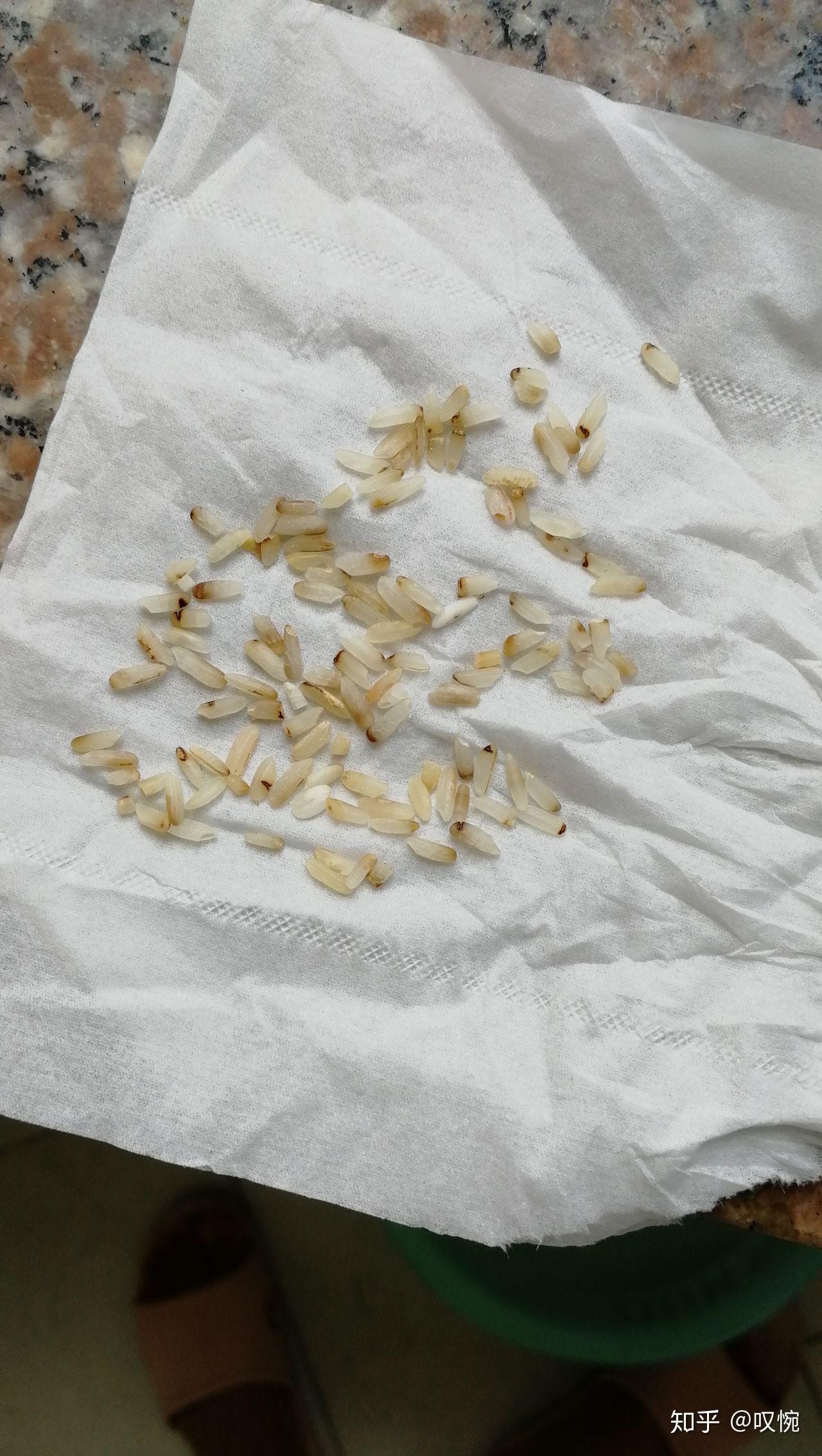 刚买的新稻谷碾的米,有点发青,还有黑点.这米是怎么了? - 知乎